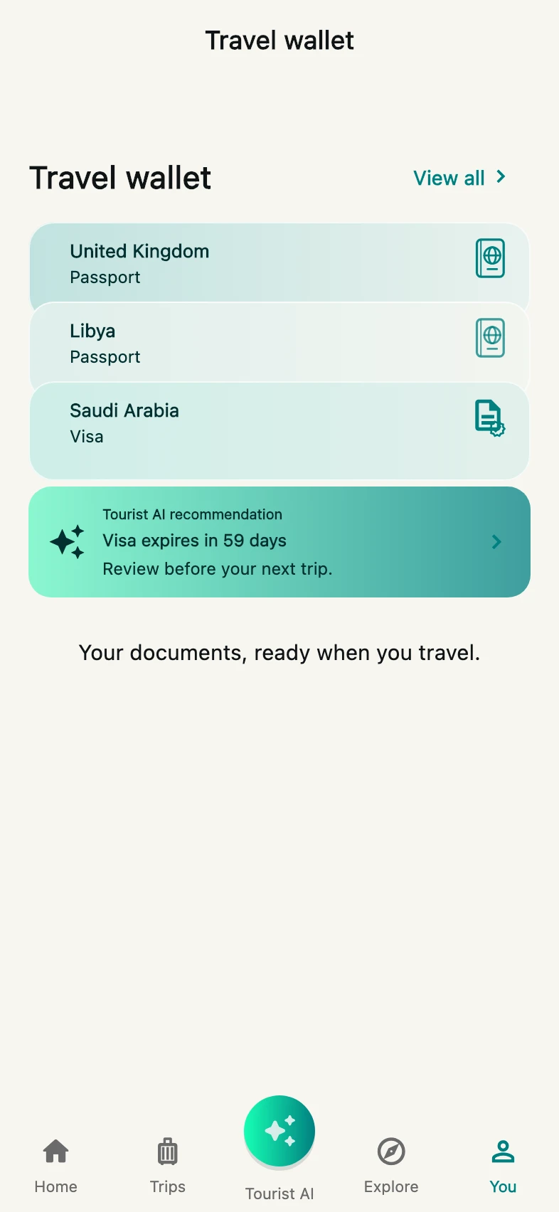 Current Tourist Travel wallet with sample passport and visa categories